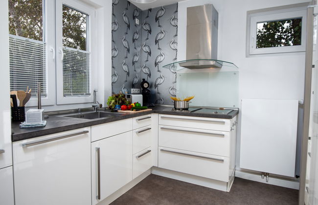 Kegelrobbe - Foto 25