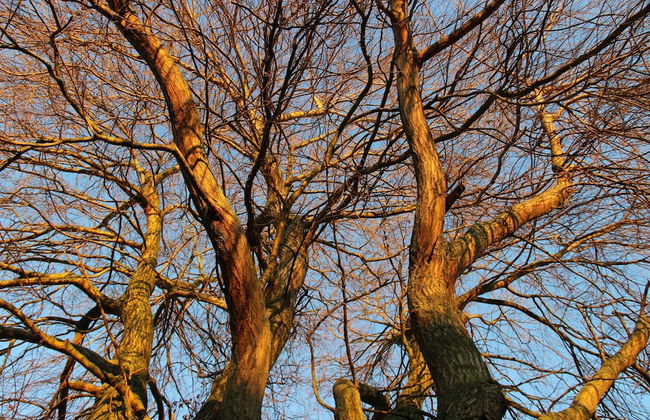 Cozy Vacation Home With Terrace - Photo 34