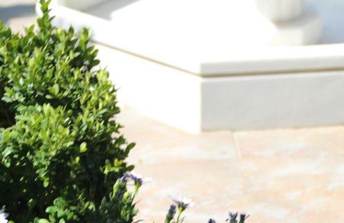 El jardín de la abuela - Foto 21