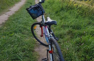 Słoneczny Dom - Foto 49