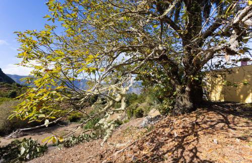 Home2Book Las Mimbreras - Foto 36