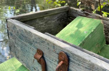 Na zielonej łące... - Foto 35