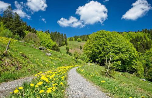 Fidelis-Bühl Muggenbrunn - Foto 9