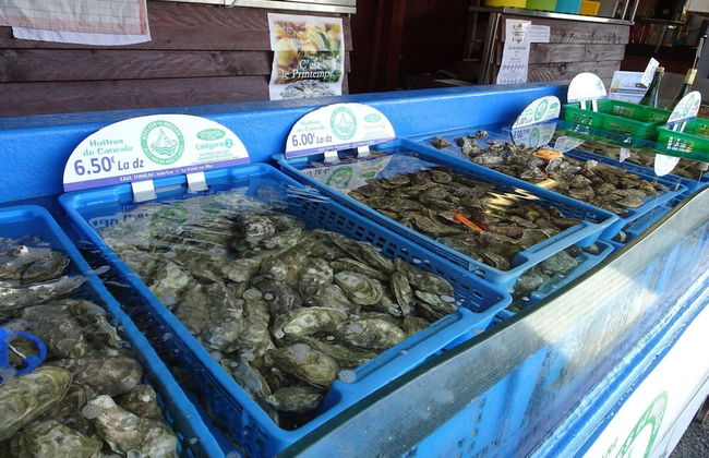 Bungalow in Gouville-sur-mer Near Beach - Photo 13