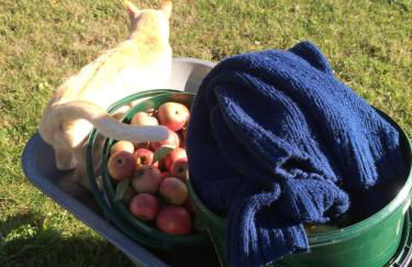 Kranichhof - Studio, Loft & Atelier - Photo 36