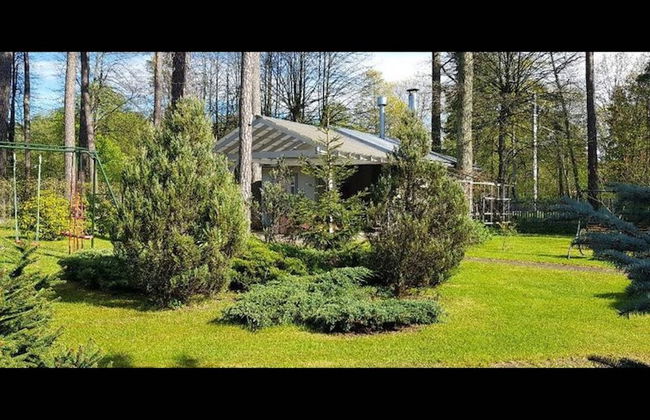 Valensija - Cute Cottage in big Yard - Foto 29