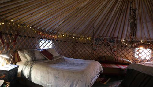 Hapus Yurt - Two Beautiful Yurts and Barn Cottage - Foto 3