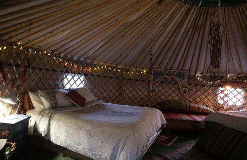Hapus Yurt - Two Beautiful Yurts and Barn Cottage - Foto 3