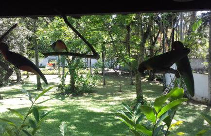 Vila Santo Toque - Garden House - Foto 6