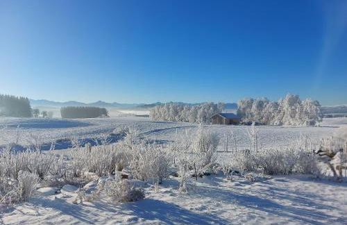 Krottenhill 2 ¼ - Photo 25