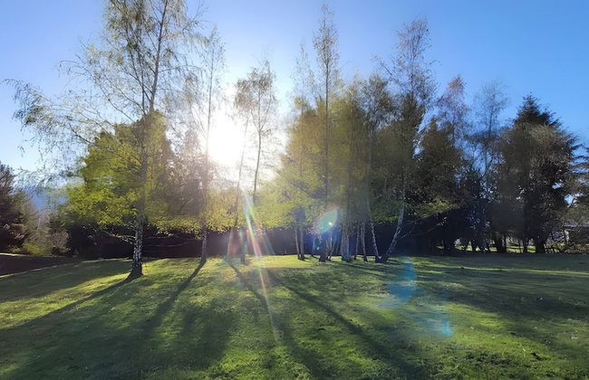 Esaki Farm Near El Bolson - Photo 39