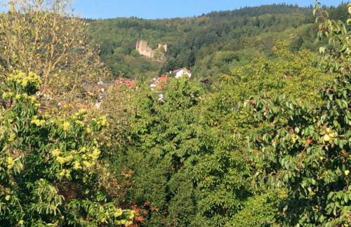 Ferienwohnung Cipolla - Foto 27