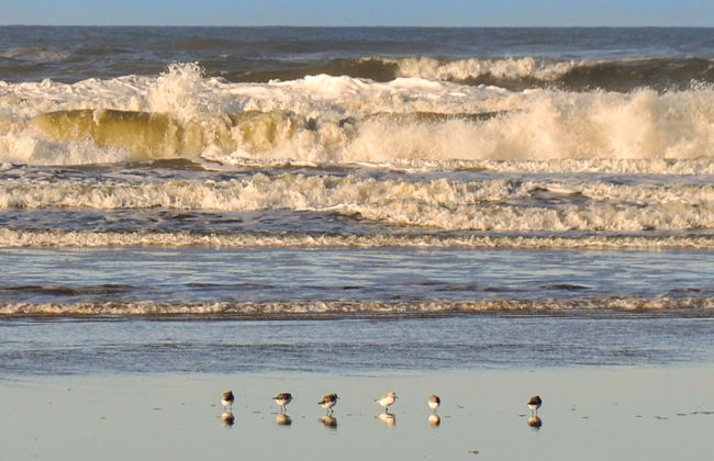 "Elsa" - 700m from the sea - Foto 6