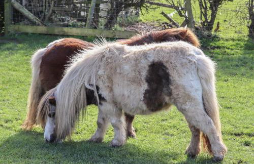 The Old Parlour - Photo 18