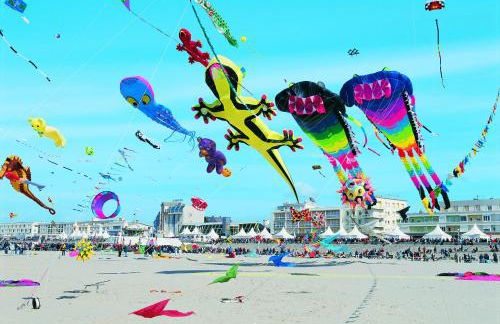 Perle d'Opale T2 FACE MER BALNÉO-SPA PARKING PRIVÉ WIFI NETFLIX HÔTEL&LOGDE 4 PERS - Foto 17