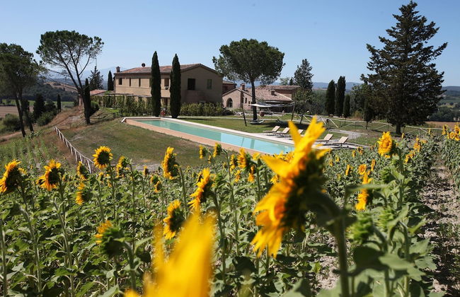 Tenuta d'Arbia - Foto 43