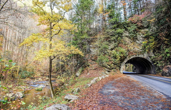 Swiss Bear Haus - Photo 28