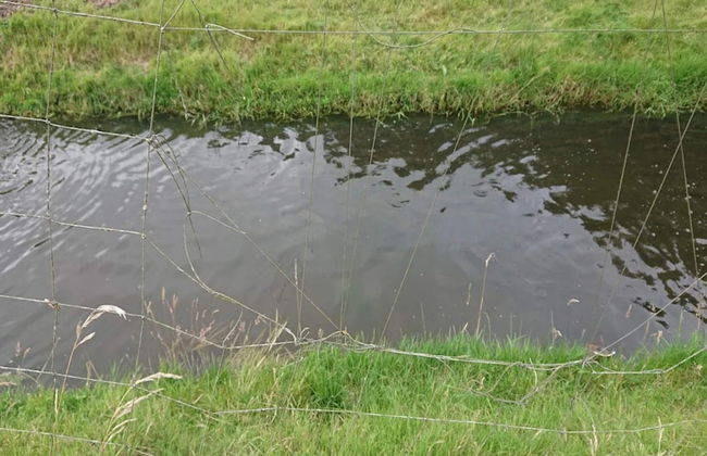 5 Star Holiday Home in Hovborg - Foto 42