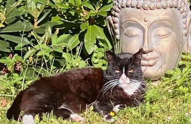 Studio im Haus Amselgarten - Foto 21