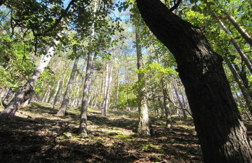 Ferienwohnung Hankel - Foto 13