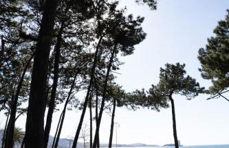 SAMIL PLAYA SUR - Foto 25