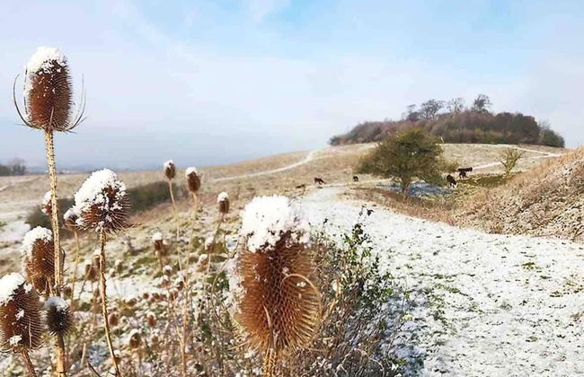 Cottage in Area of Outstanding Natural Beauty - Foto 31