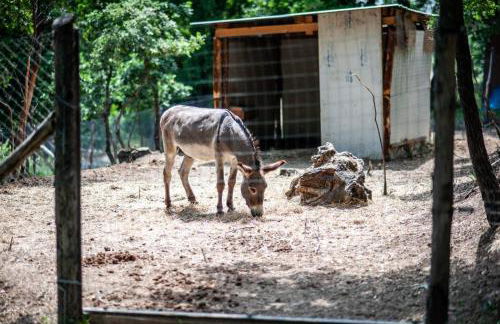 Tenuta Santo Stefano Azienda Agrituristica - Photo 23