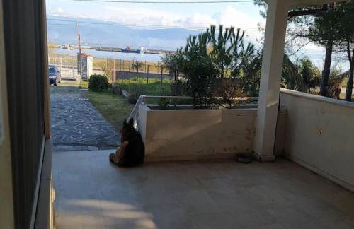 Serafim beach house - Foto 14