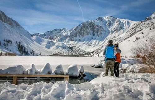 Mammoth Green - 207 - Foto 49