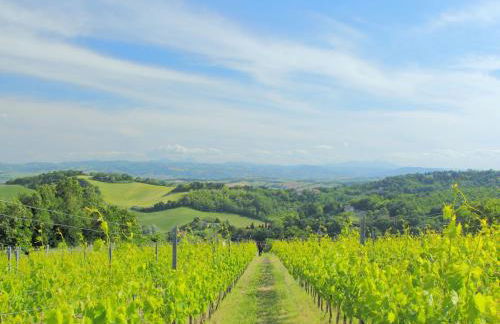 Hillside Comfort in Tavullia - Foto 76