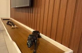 Refugio Alto luxo Central, ar, piscina - Foto 25