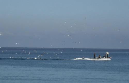 Residence Hotel Riviera Calabra - Foto 73