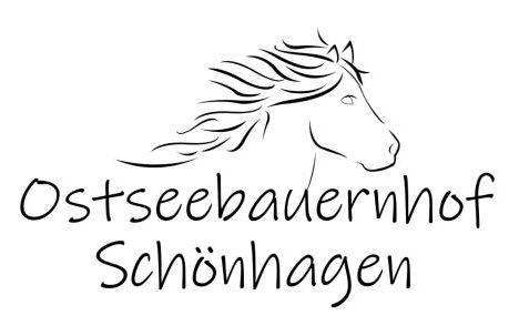 Ostseebauernhof Schönhagen - Foto 36