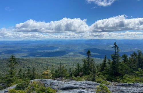 Moonlight Woods - Gardener's Log Cabin - Foto 30