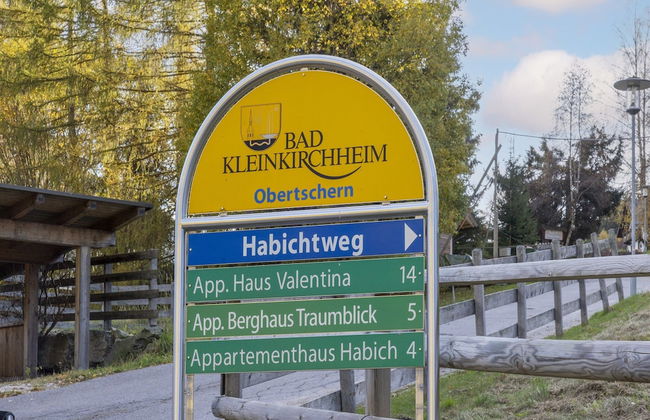 Apartment in Bad Kleinkirchheim Near Ski Lift - Photo 35