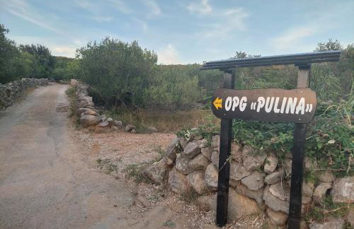 Holiday House Pulina - Foto 21