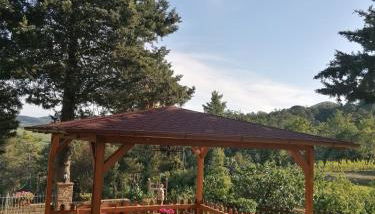 La Casa dei Nonni - Foto 5, Garden