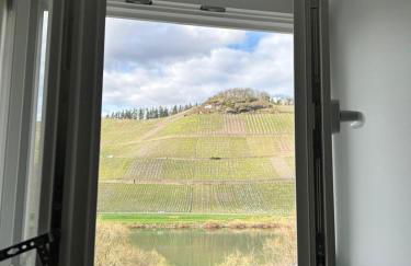 Winzervilla Kammerhof - 3x stilvolle & geräumige FeWos mit Moselblick, 2-12 Gäste buchbar, direkt am Moselradweg - Foto 14