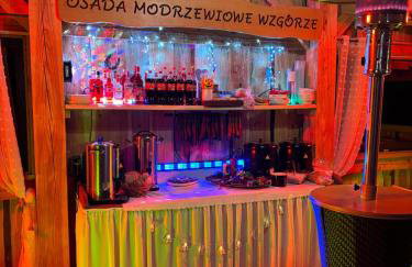 Osada Modrzewiowe Wzgórze Bieszczady - Foto 49