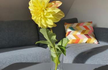 höriHaus 1804 - Foto 12