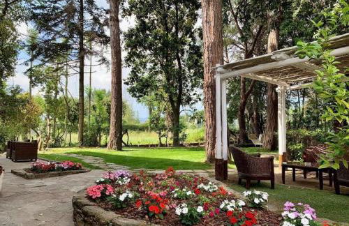 La Tavernetta dei Ronchi - Foto 3