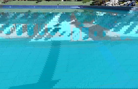 Hotel Fazenda Villa-Forte - Foto 17