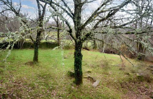 Maison charmante à Meyrignac-l'Église avec cheminée - Foto 10