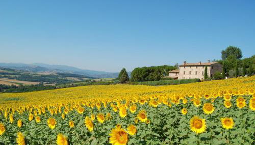 Agriturismo Casale dei Frontini - Foto 3