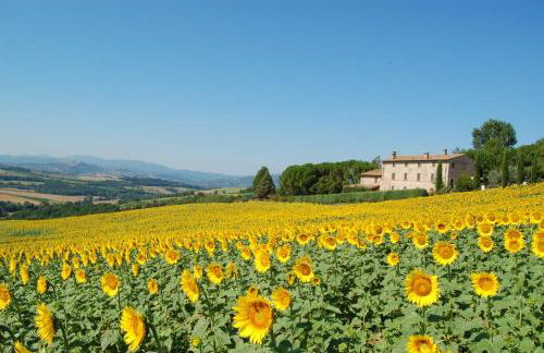 Agriturismo Casale dei Frontini - Photo 3