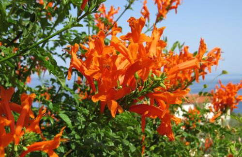 Villa Irini - Photo 32