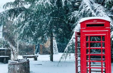 Madeleine: Luxury Villa in Italy - Foto 24