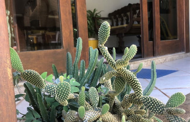 Casa de Praia - Bosque de Geribá - Foto 67