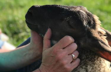 Bunnahabhain 5 - Farm Stay - Stunning sea and rural views - Photo 41