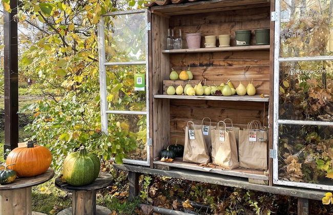 Peaceful Forest Cabin in Dalsland - Photo 21
